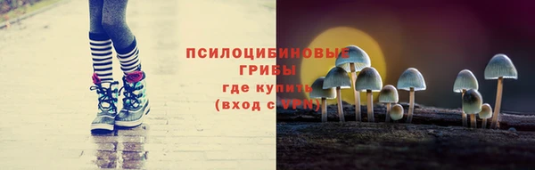 прущая мука Армянск