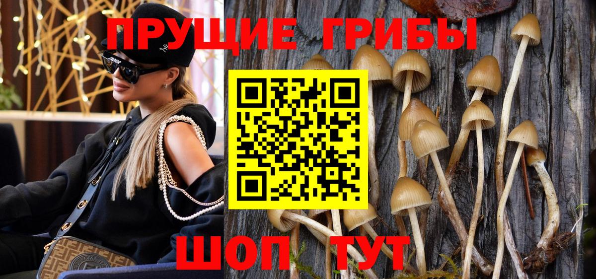 Галлюциногенные грибы GOLDEN TEACHER Канаш